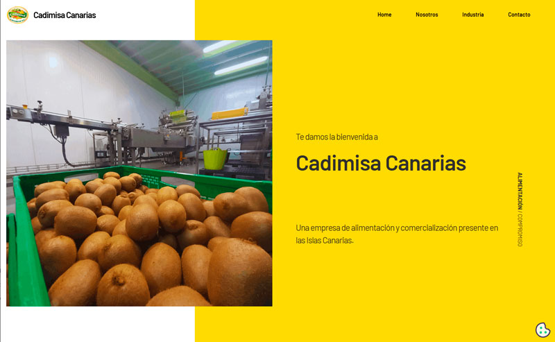 Cliente 4