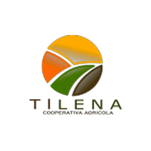 Cliente 2